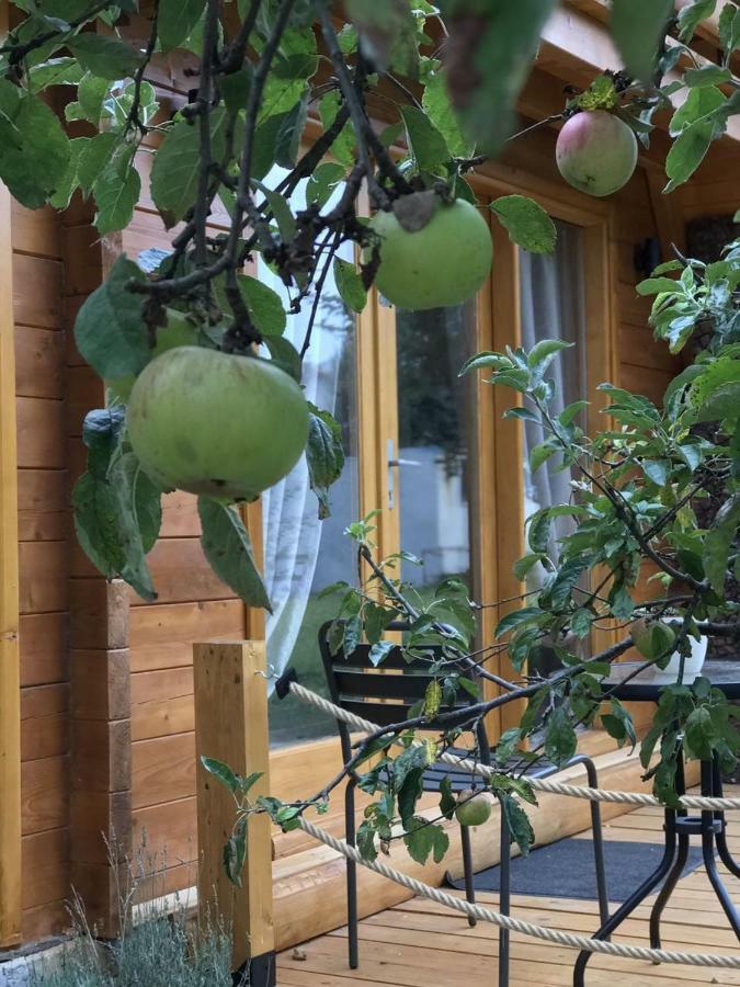 Apple House Villa Cetinje Exterior photo