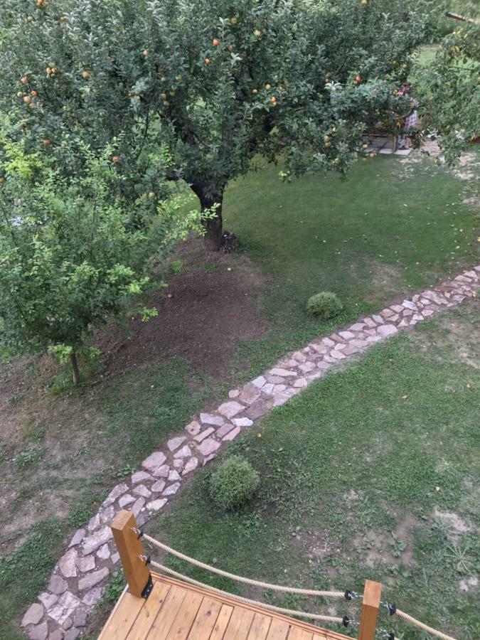 Apple House Villa Cetinje Exterior photo